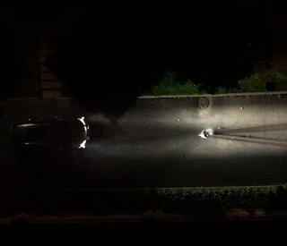 雅居樂同理心——喂貓老人篇