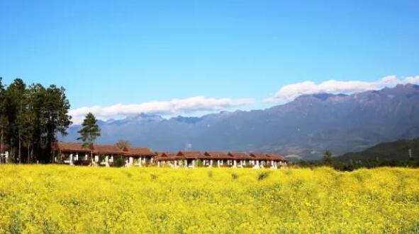 在最美的季節(jié)遇見你 雅居樂“上山下?！斌w驗行