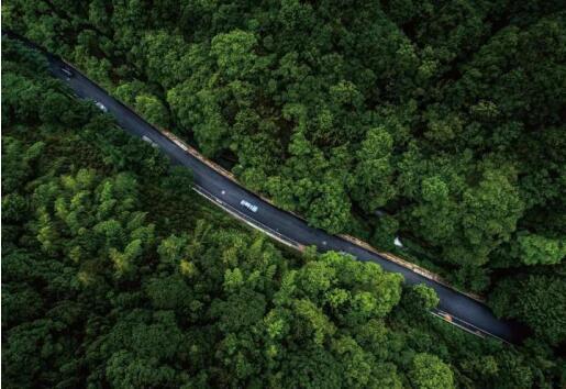 在最美的季節(jié)遇見你 雅居樂“上山下?！斌w驗行